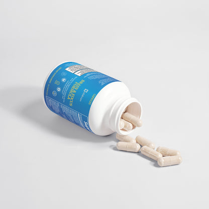 Brain & Focus Formula